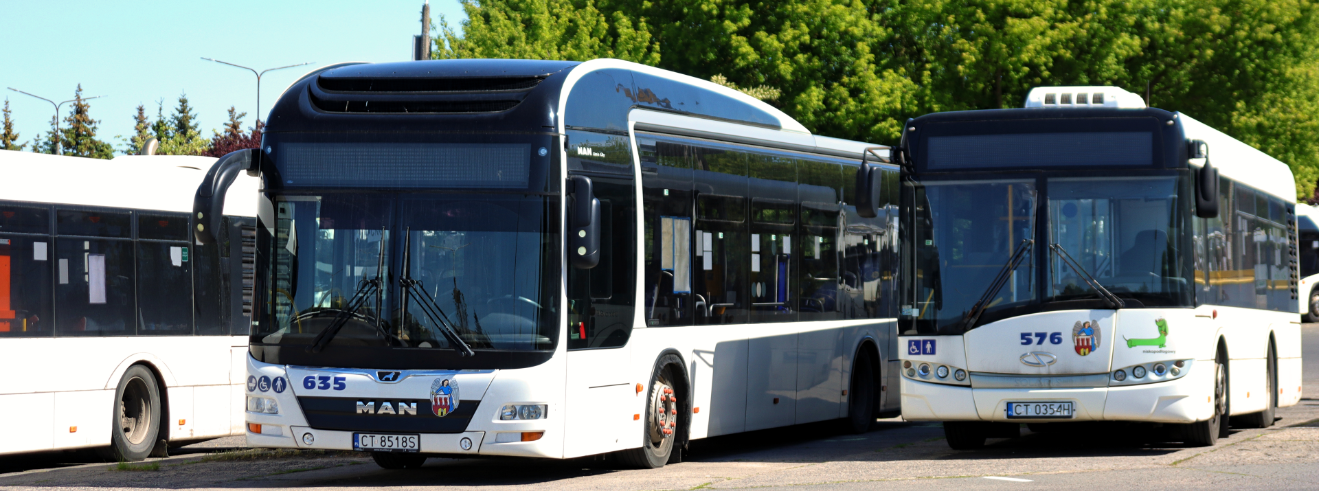 Białe autobusy MZK
