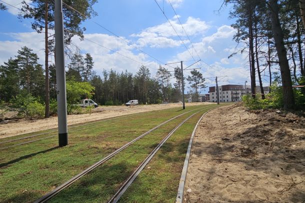 Zielone torowisko z rozchodnika