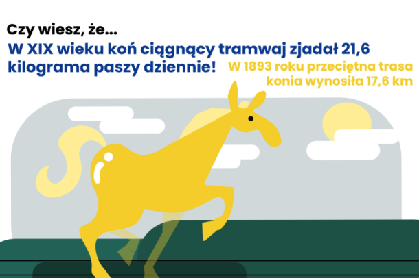 Grafika czy wiesz, że