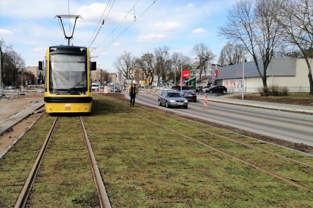 Zielone torowisko z rozchodnika